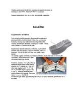 Konspekts 'Ekrāna aizsargfiltri un ergonomiskās tastatūras', 4.