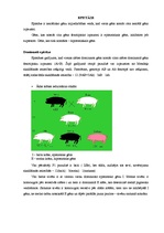 Referāts 'Nealēlisko gēnu mijiedarbība', 4.