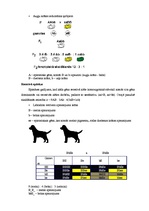 Referāts 'Nealēlisko gēnu mijiedarbība', 5.