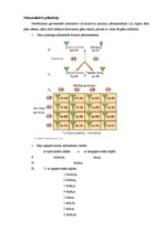 Referāts 'Nealēlisko gēnu mijiedarbība', 9.