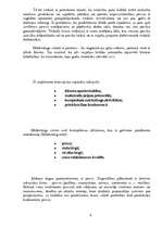 Referāts 'Mārketings', 4.