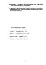 Referāts 'Mārketings', 13.