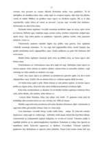 Referāts 'Aušanas tradīcijas Vidzemē 19.gs. beigās un 20.gs. sākumā', 11.