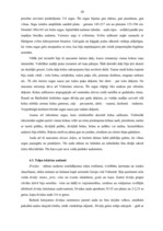 Referāts 'Aušanas tradīcijas Vidzemē 19.gs. beigās un 20.gs. sākumā', 20.