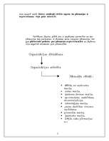 Referāts 'Pārmaiņas organizācijā', 2.