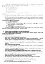 Konspekts 'Tiesību aizsardzības iestādes', 12.