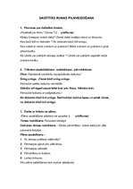 Referāts 'Fonemātiskās uztveres traucējumi', 8.