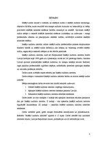 Referāts 'Iekšējo auditoru institūts', 3.