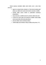 Referāts 'Iekšējo auditoru institūts', 10.