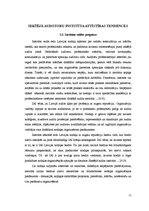 Referāts 'Iekšējo auditoru institūts', 11.