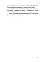 Referāts 'Iekšējo auditoru institūts', 13.