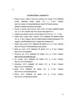 Referāts 'Iekšējo auditoru institūts', 15.