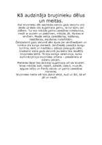 Konspekts 'Bruņinieki', 2.