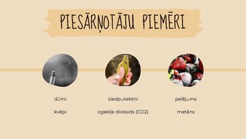 Prezentācija 'Gaisa piesārņojums', 3.