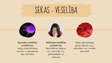 Prezentācija 'Gaisa piesārņojums', 6.