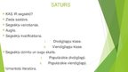 Prezentācija 'Segsēkļi', 2.