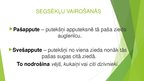 Prezentācija 'Segsēkļi', 8.