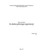 Referāts 'Situācijas analīze organizāciju psiholoģijā', 1.