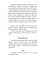 Referāts 'Optika', 8.