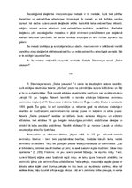 Eseja 'R.Blaumaņa noveles "Salna pavasarī" analīze pēc socioloģiskās metodes', 2.