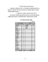 Prakses atskaite 'Ražošanas plānošana un vadīšana', 8.