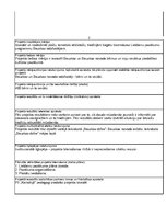 Paraugs 'Projekts', 2.