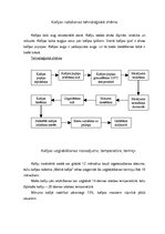 Prakses atskaite 'Atskaite par kafijas ražošanas uzņēmumu "Simeks"', 6.