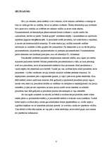 Referāts 'Prezidentālā un parlamentārā sistēma', 7.