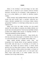 Referāts 'Ziemeļamerikas indiāņi', 7.