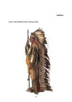 Referāts 'Ziemeļamerikas indiāņi', 19.