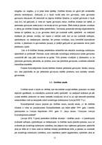 Referāts 'Drošības līdzekļu reksturojums un piemērošanas kārtība', 12.