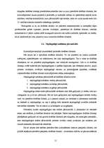 Referāts 'Drošības līdzekļu reksturojums un piemērošanas kārtība', 21.