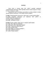 Referāts 'Jauna uzņēmuma SIA "Tīkls" attīstības plānošana', 2.