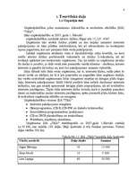 Referāts 'Jauna uzņēmuma SIA "Tīkls" attīstības plānošana', 6.