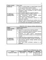 Referāts 'Jauna uzņēmuma SIA "Tīkls" attīstības plānošana', 13.