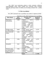 Referāts 'Jauna uzņēmuma SIA "Tīkls" attīstības plānošana', 17.