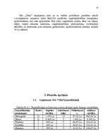 Referāts 'Jauna uzņēmuma SIA "Tīkls" attīstības plānošana', 18.