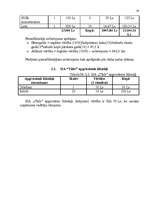 Referāts 'Jauna uzņēmuma SIA "Tīkls" attīstības plānošana', 19.