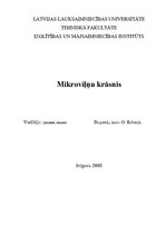 Referāts 'Mikroviļņu krāsnis', 1.