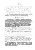 Referāts 'Velnezers', 2.