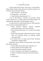 Referāts 'Grāmatvedības objektu revīzijas pamatvirzieni', 15.