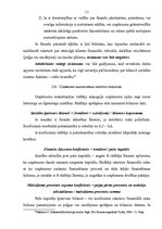 Referāts 'Grāmatvedības objektu revīzijas pamatvirzieni', 17.