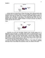 Referāts 'Pircēju rīcības analīze', 10.