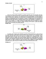 Referāts 'Pircēju rīcības analīze', 14.