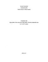 Prakses atskaite 'Ievadrpakse tiesā', 1.