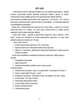 Referāts 'Grāmatvedības organizācija a/s "Parex banka"', 1.