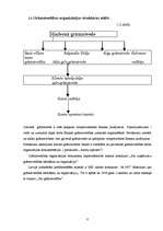 Referāts 'Grāmatvedības organizācija a/s "Parex banka"', 4.