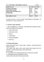 Referāts 'Grāmatvedības organizācija a/s "Parex banka"', 11.