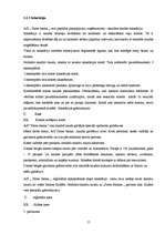 Referāts 'Grāmatvedības organizācija a/s "Parex banka"', 13.