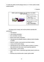 Diplomdarbs 'Sociālpedagoģiskā darbība ar bērniem, kuri mācās mājas apmācībā', 32.